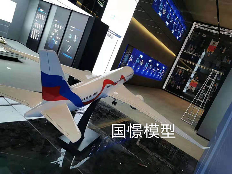 容县飞机模型